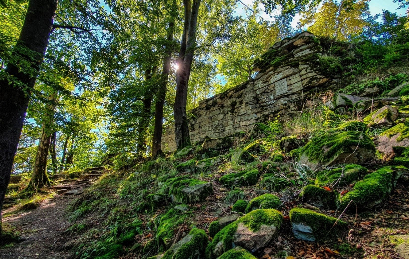 Ruine Hirschstein, Germany
